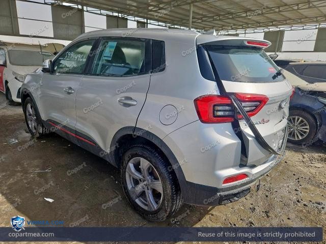 Auction photo
