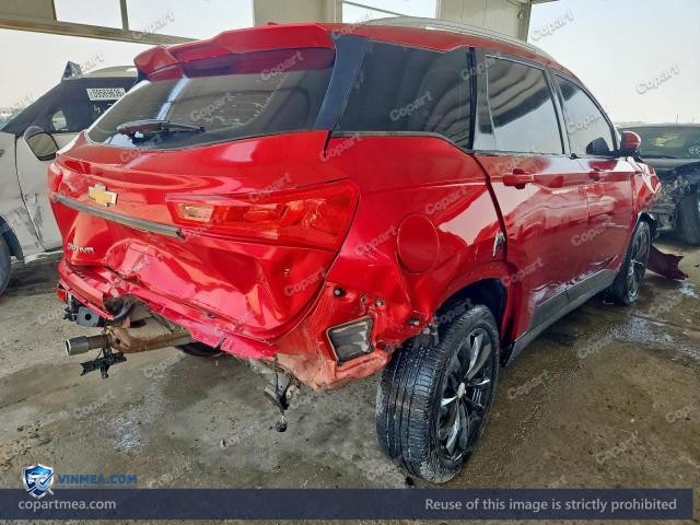 Auction photo