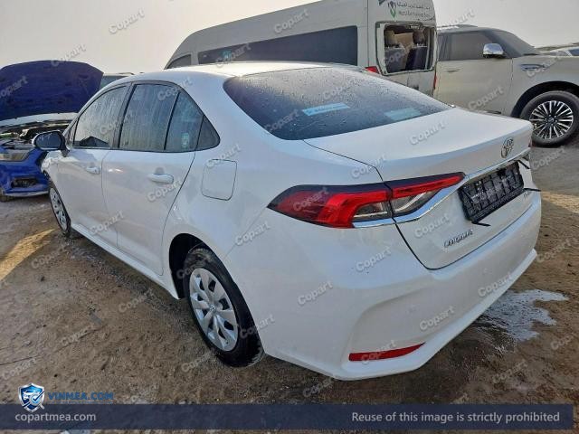 Auction photo