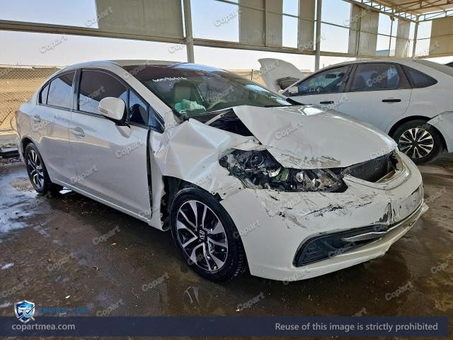 Auction photo