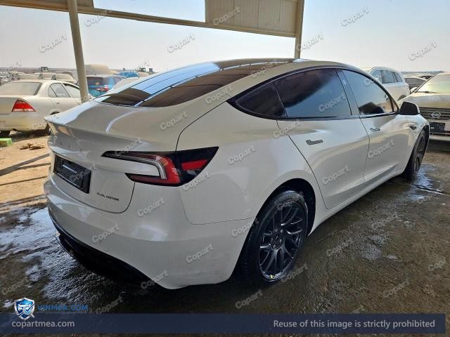 Auction photo