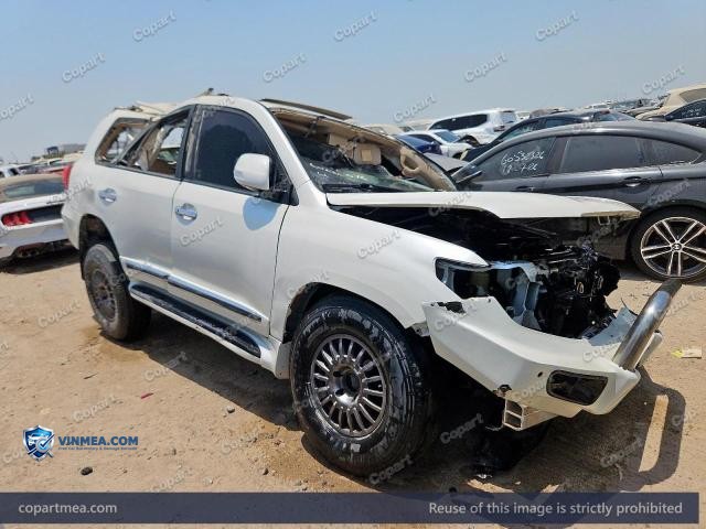 Auction photo