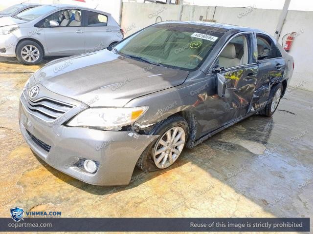 Auction photo