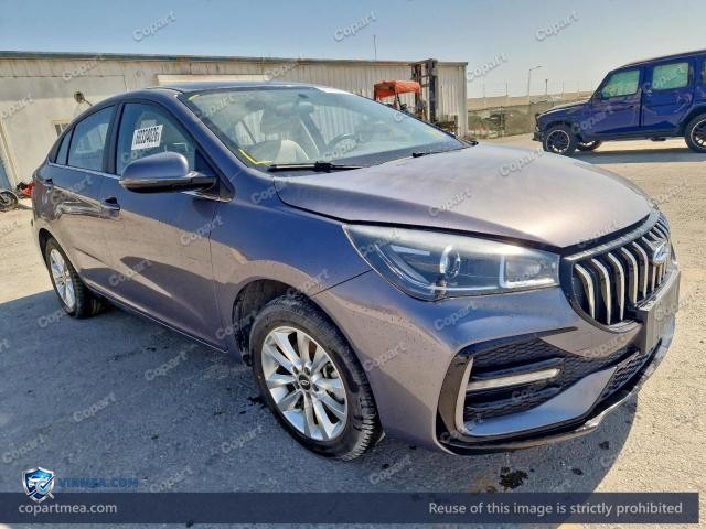 2025 CHER ARRIZO — Lot 60334026 auction photo