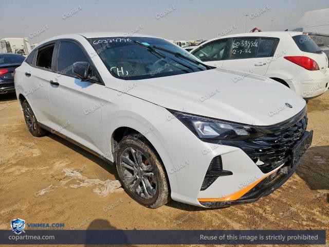 2026 DONG SHINE — Lot 60334796 auction photo