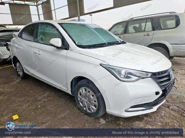 2024 CHAN ALSVIN — Lot 60336876 auction photo