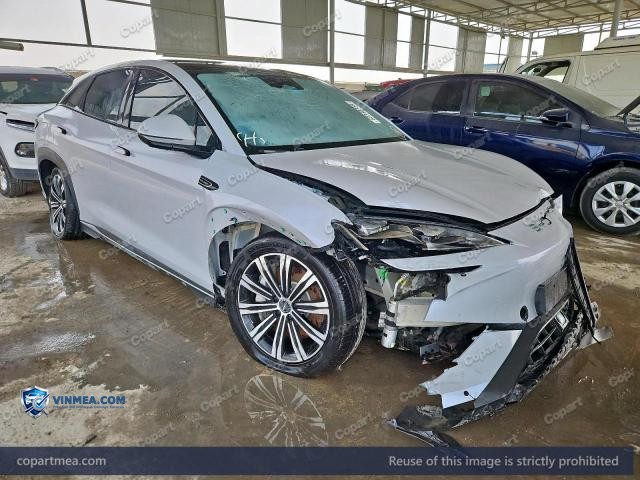 2025 BYD SEALION — Lot 60340356 auction photo