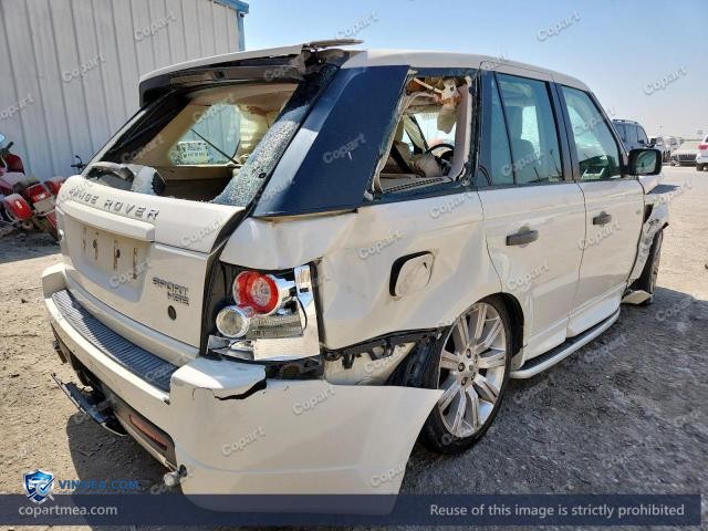 Auction photo