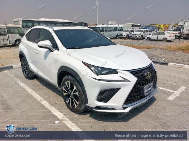 2019 LEXUS NX — Lot 60350226 auction photo