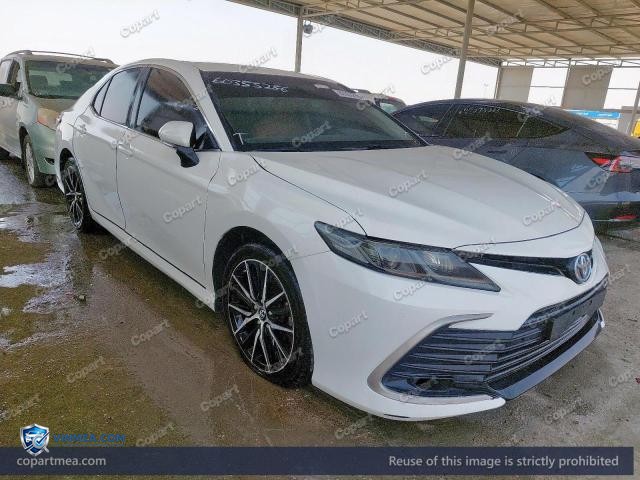 Auction photo