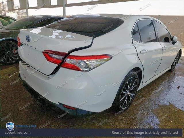 Auction photo