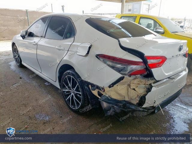 Auction photo