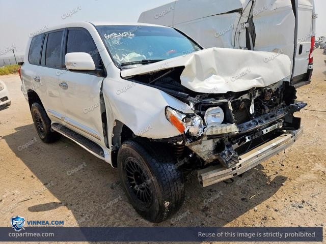 Auction photo