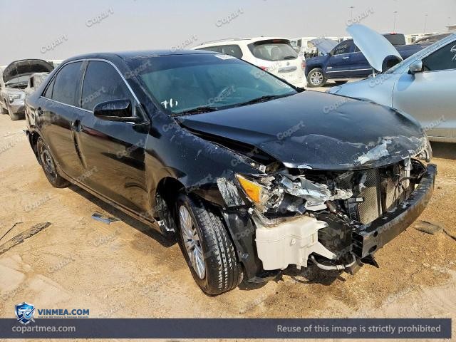 Auction photo