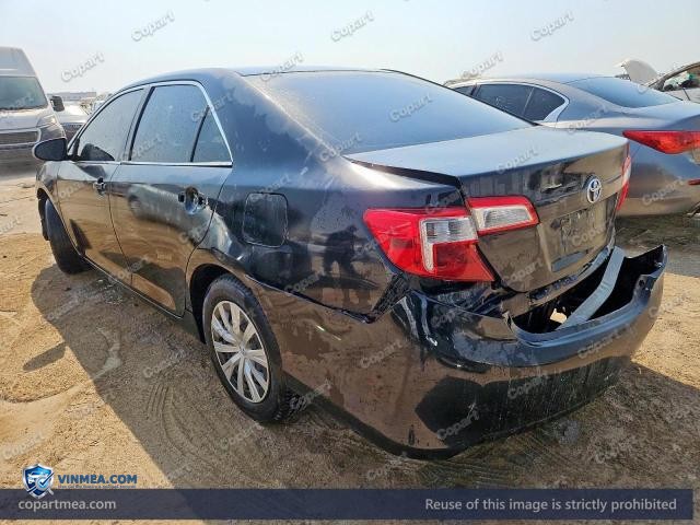 Auction photo