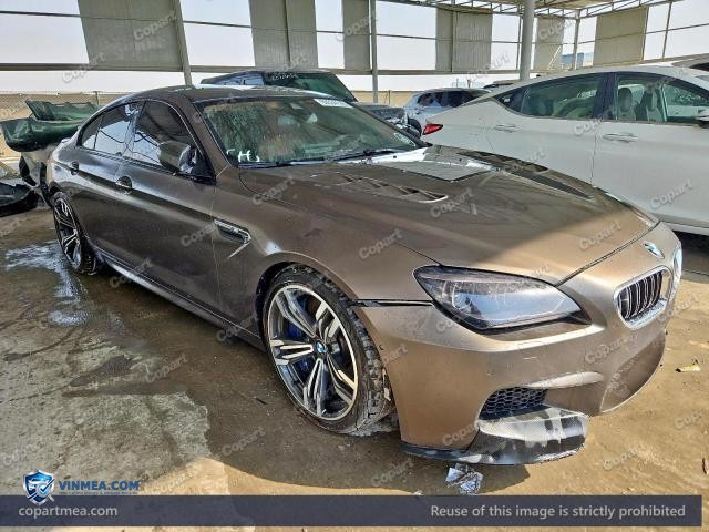 2014 BMW M6 — Lot 60534116 auction photo