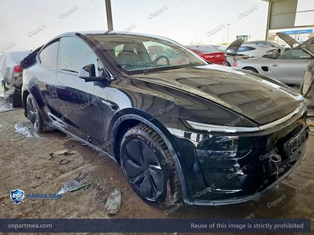2025 TESL MODEL — Lot 60537116 auction photo