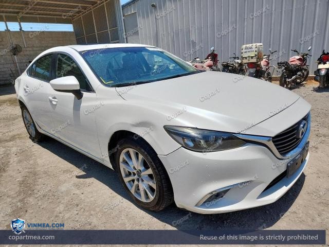 Auction photo