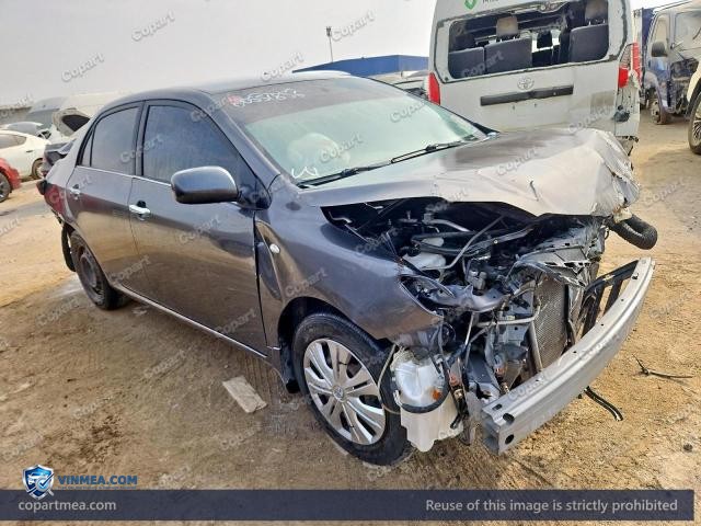 Auction photo