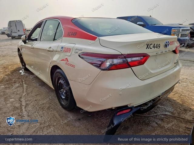 Auction photo