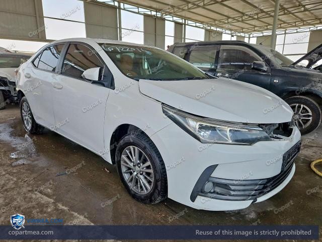 Auction photo