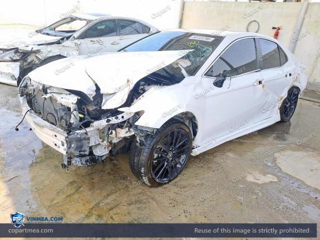 Auction photo