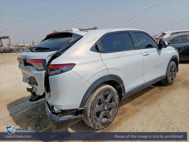 Auction photo