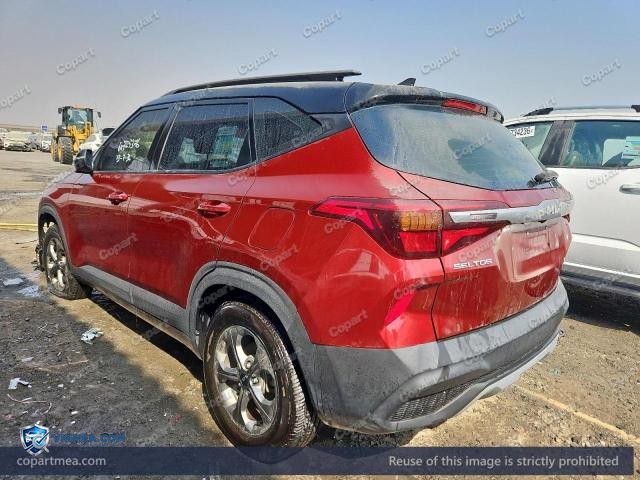 Auction photo