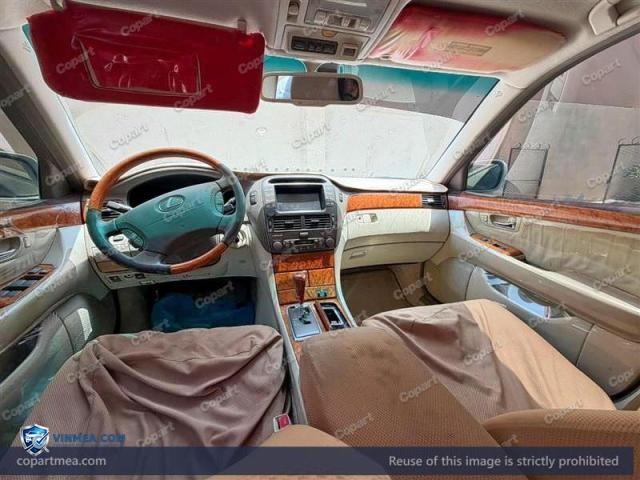 Auction photo