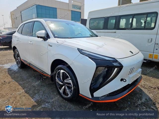 2024 DONG FORTHING — Lot 60733916 auction photo