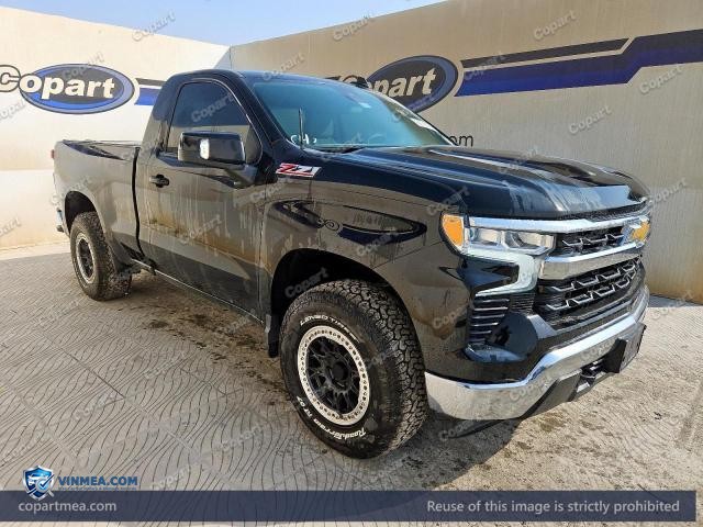2025 CHEVROLET SILVERADO — Lot 60735796 auction photo