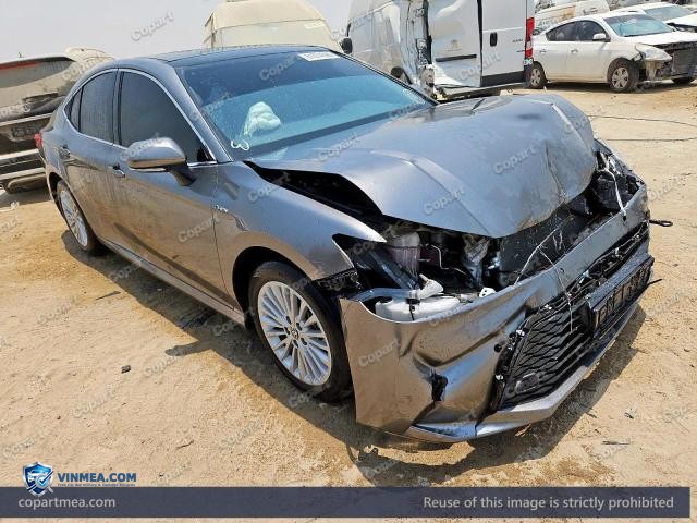 Auction photo