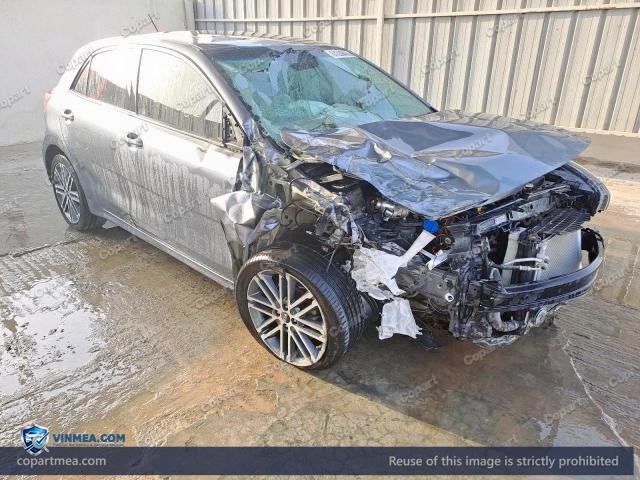 2019 KIA RIO — Lot 61236466 auction photo
