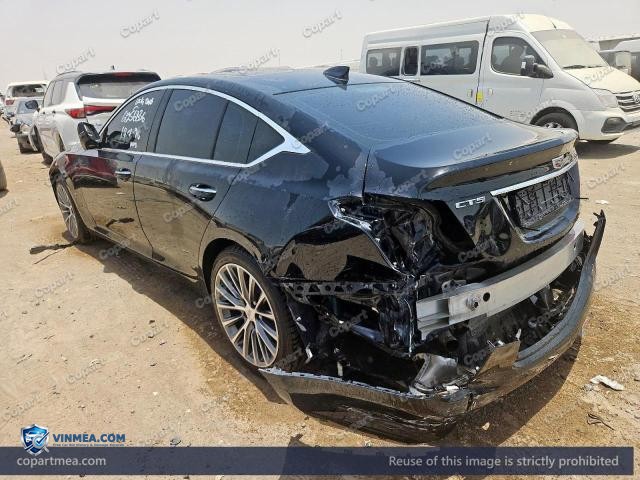 Auction photo
