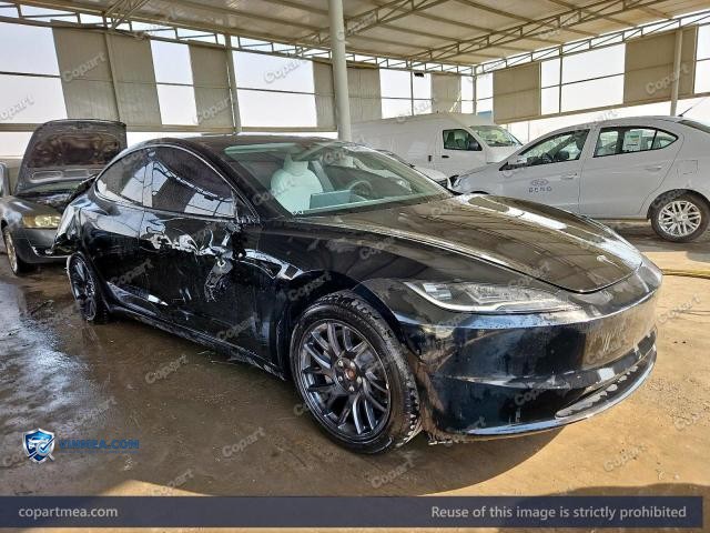 2025 TESL MODEL — Lot 61261736 auction photo