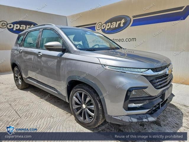 2024 CHEVROLET CAPTIVA — Lot 61282816 auction photo