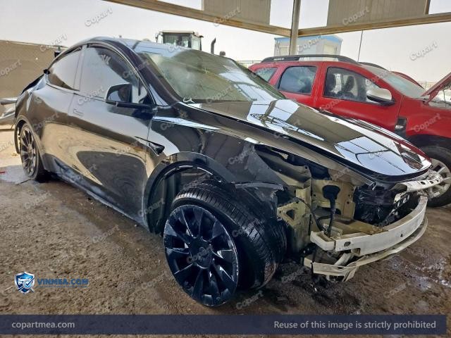 2023 TESL MODEL — Lot 61287326 auction photo