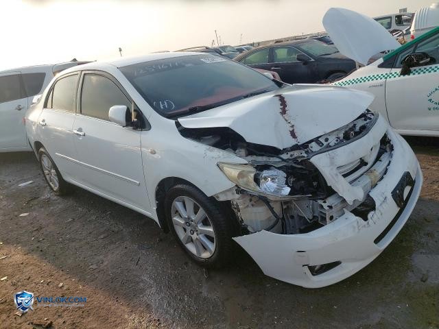 Auction photo