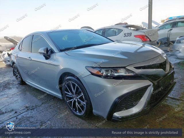 Auction photo