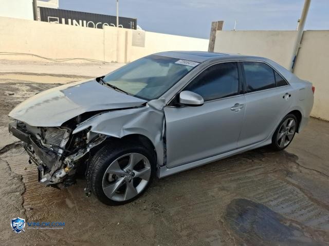 Auction photo