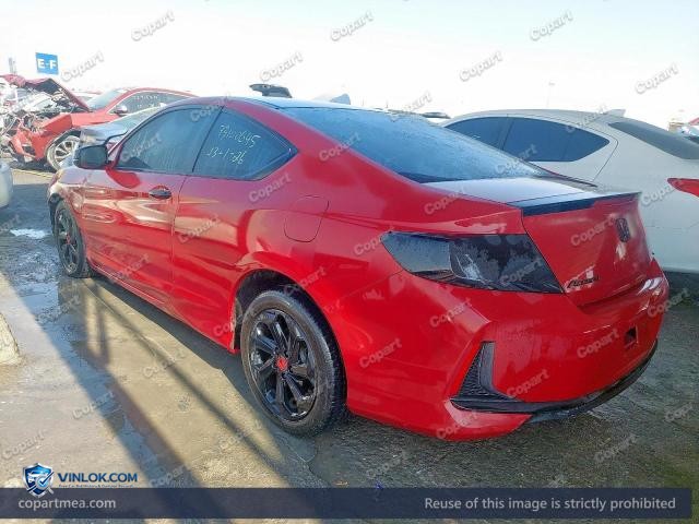 Auction photo