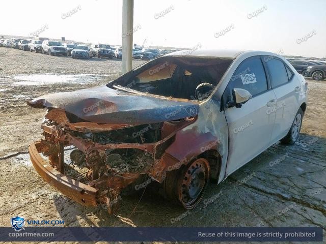 Auction photo