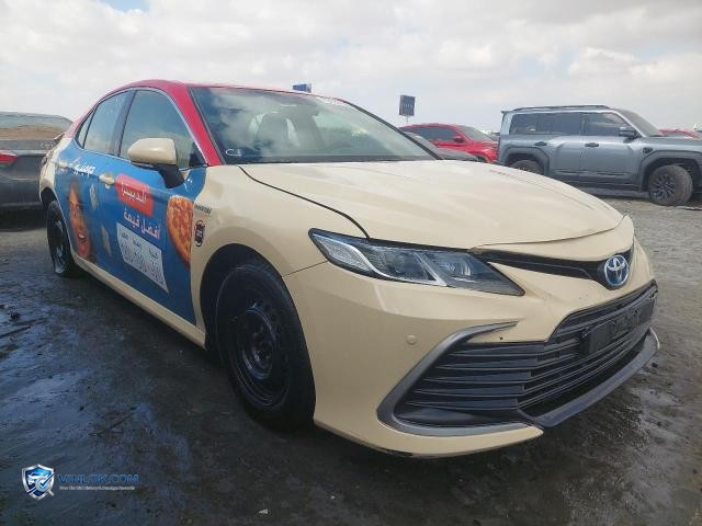 Auction photo