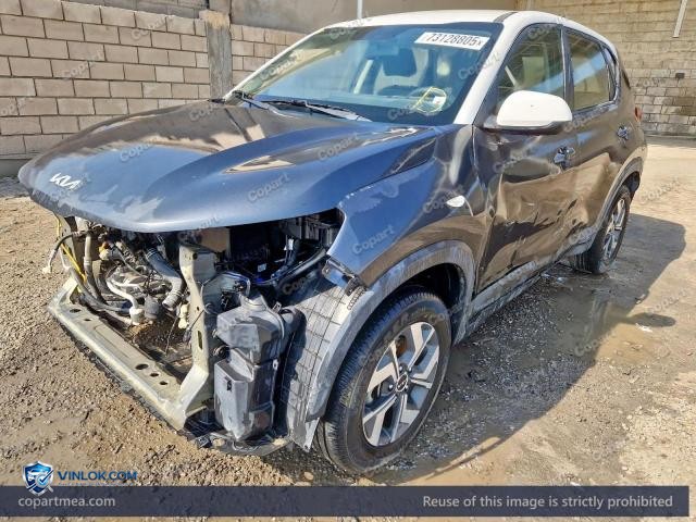 Auction photo