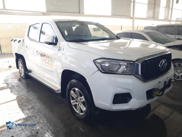 2020 MAXU T60 — Lot 73364805 auction photo