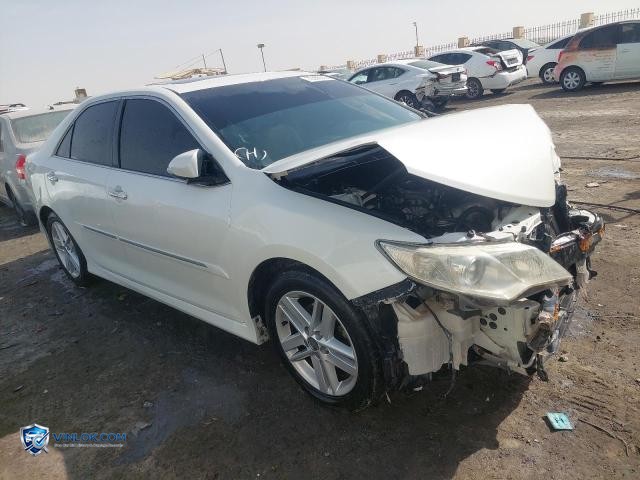 Auction photo