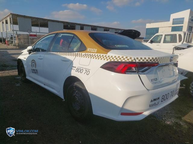 Auction photo