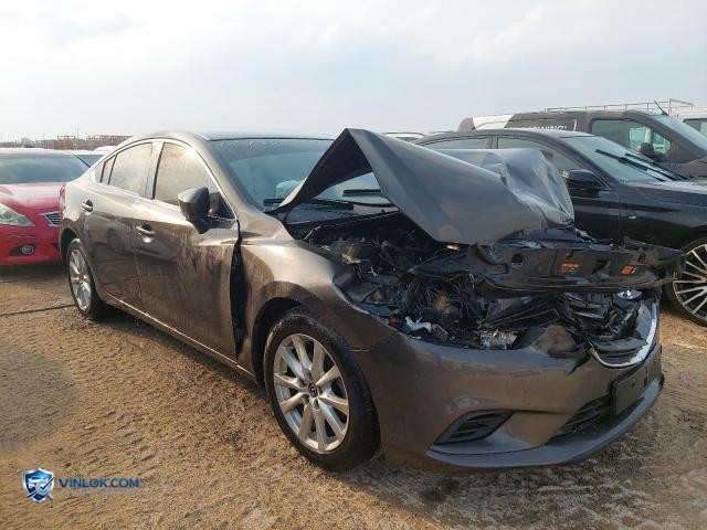 Auction photo