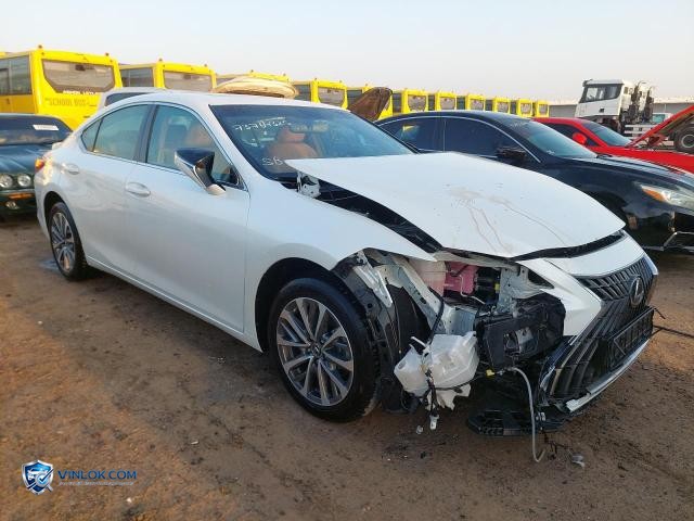 Auction photo