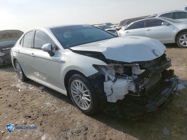 Auction photo